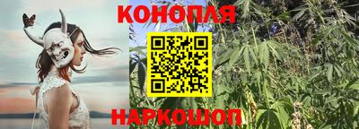 наркотики Кунгур
