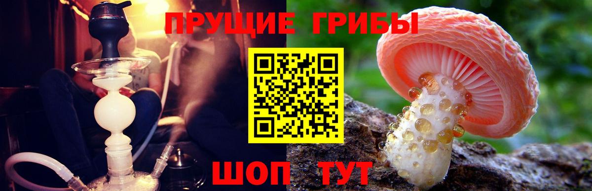Галлюциногенные грибы Psilocybine cubensis  Вход с VPN  Торжок 